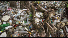 plastic news