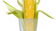 Big growth for bioplastics