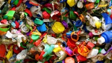 UK students plant plastic to reduce waste