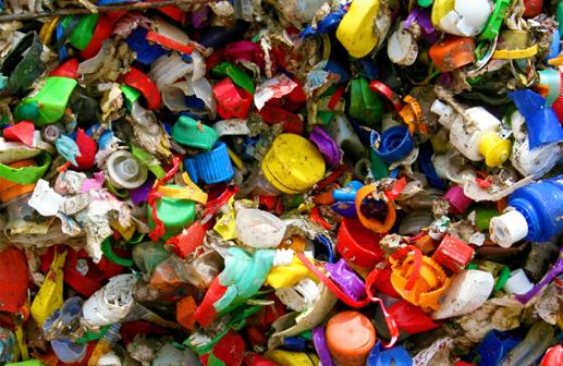 UK students plant plastic to reduce waste
