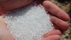 Import PP prices steady in China following brief rally