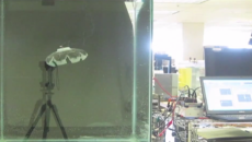 Ocean-powered robotic jellyfish could theoretically run forever