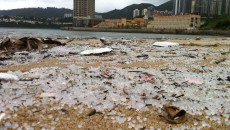 First-hand account of the Hong Kong plastic pellets clean u