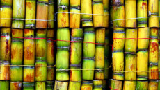 AT&T is sweet on sugarcane-based thermoform