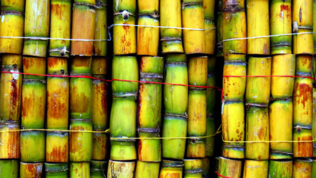 AT&T is sweet on sugarcane-based thermoform