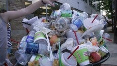 Dispose plastic, inorganic waste properly