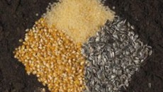 Novamont bioplastics help increase sustainability of in-flight meals