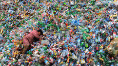 Green Carpet of 140,000 recycled PET bottles to roll out at Tokyo International Film Festival
